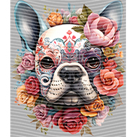 Animal Integration-DW 562